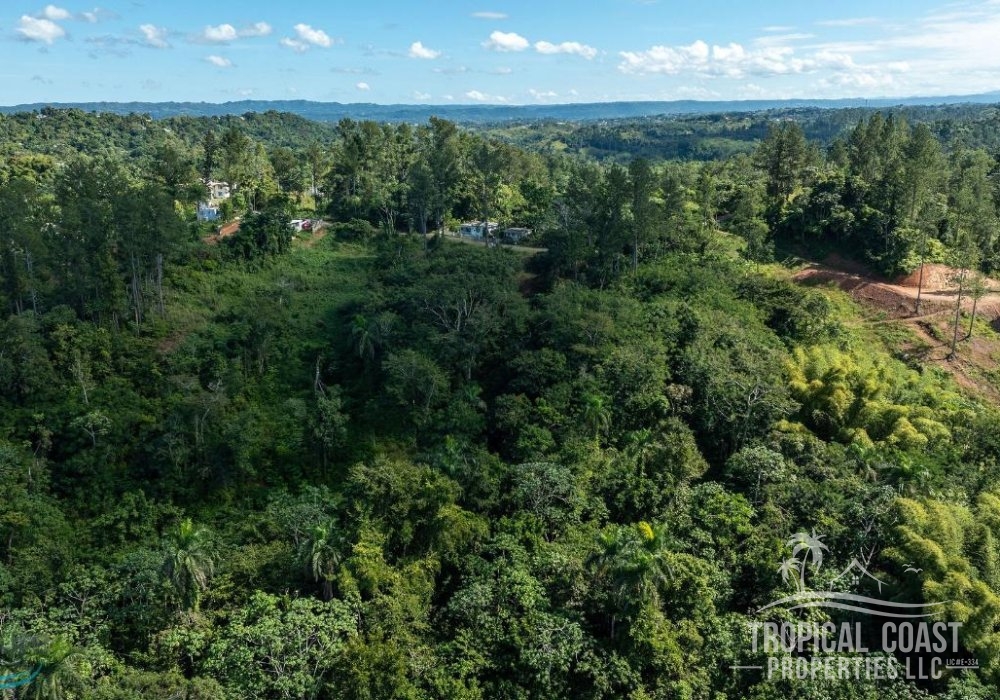 5680314_1704911275521 5680314_1704911275521