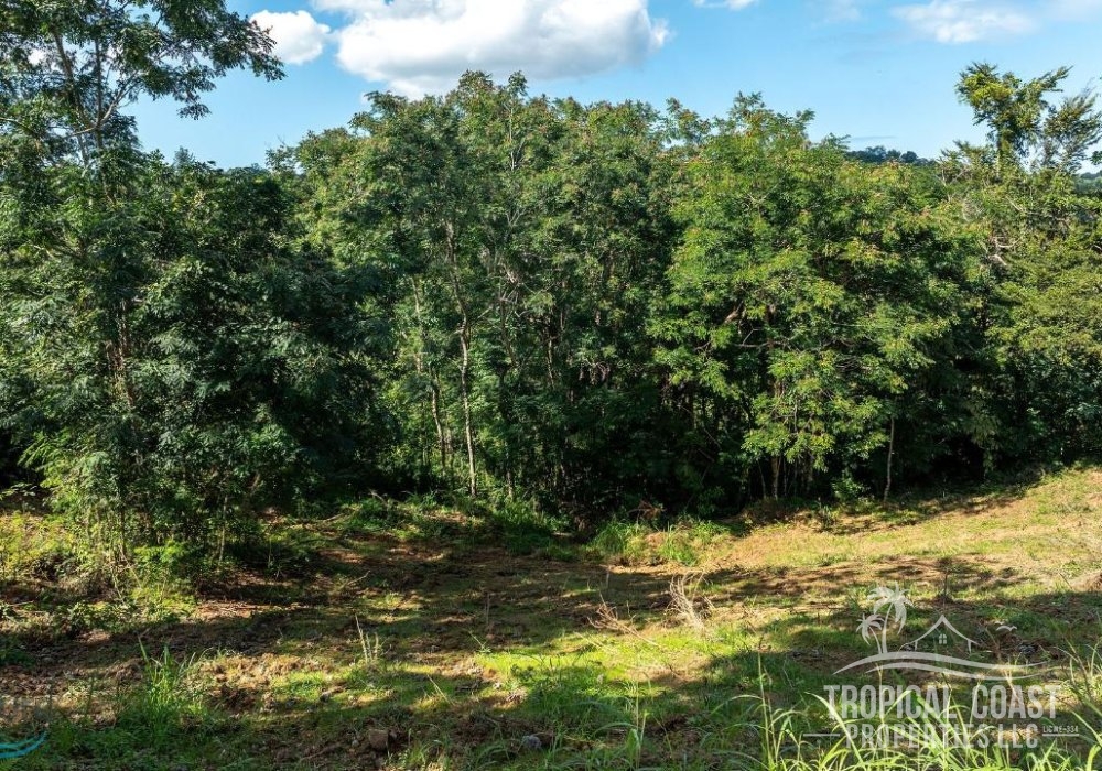 5680336_1704911339648 5680336_1704911339648