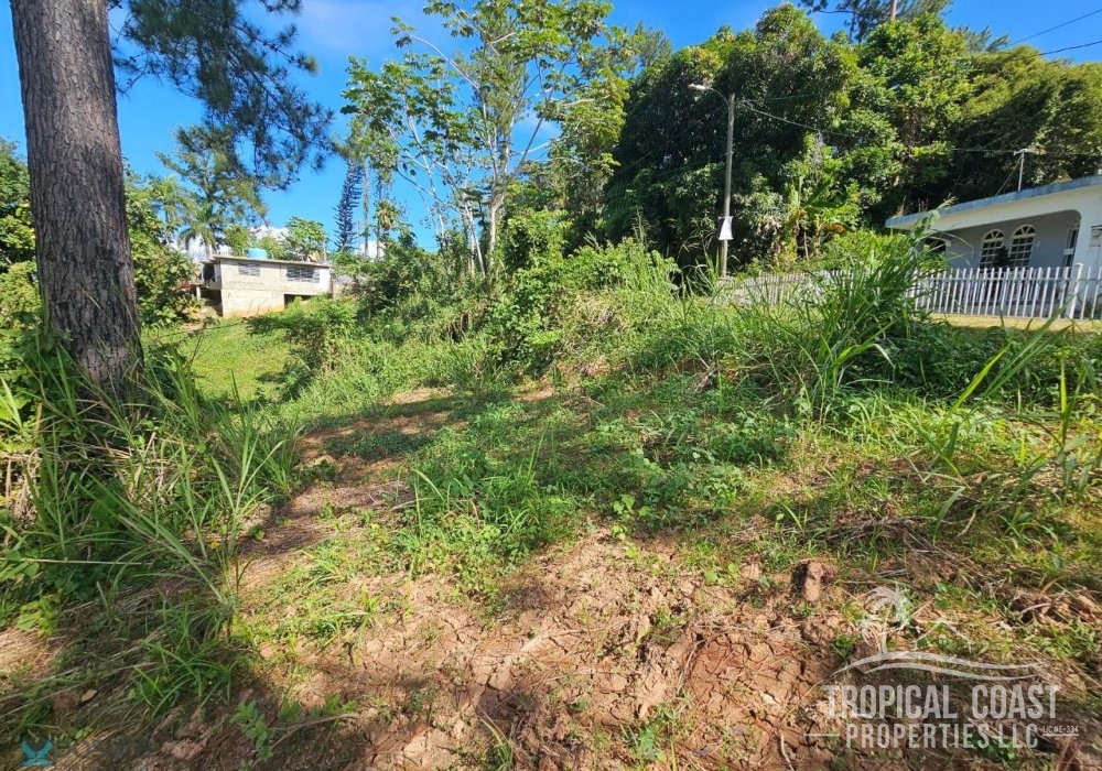 5680342_1704911362069 5680342_1704911362069