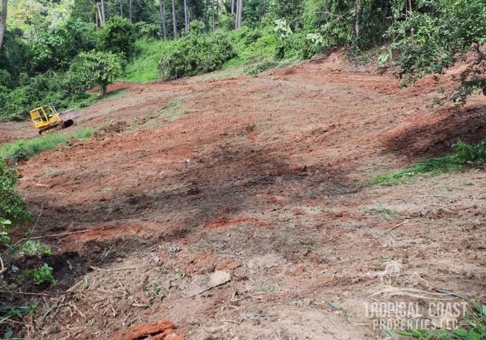 6732561_1723480205743 6732561_1723480205743