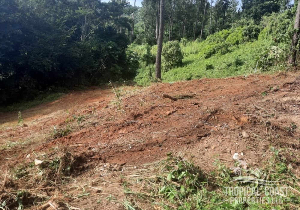 PARCELA A-1 (1) PARCELA A-1 (1)