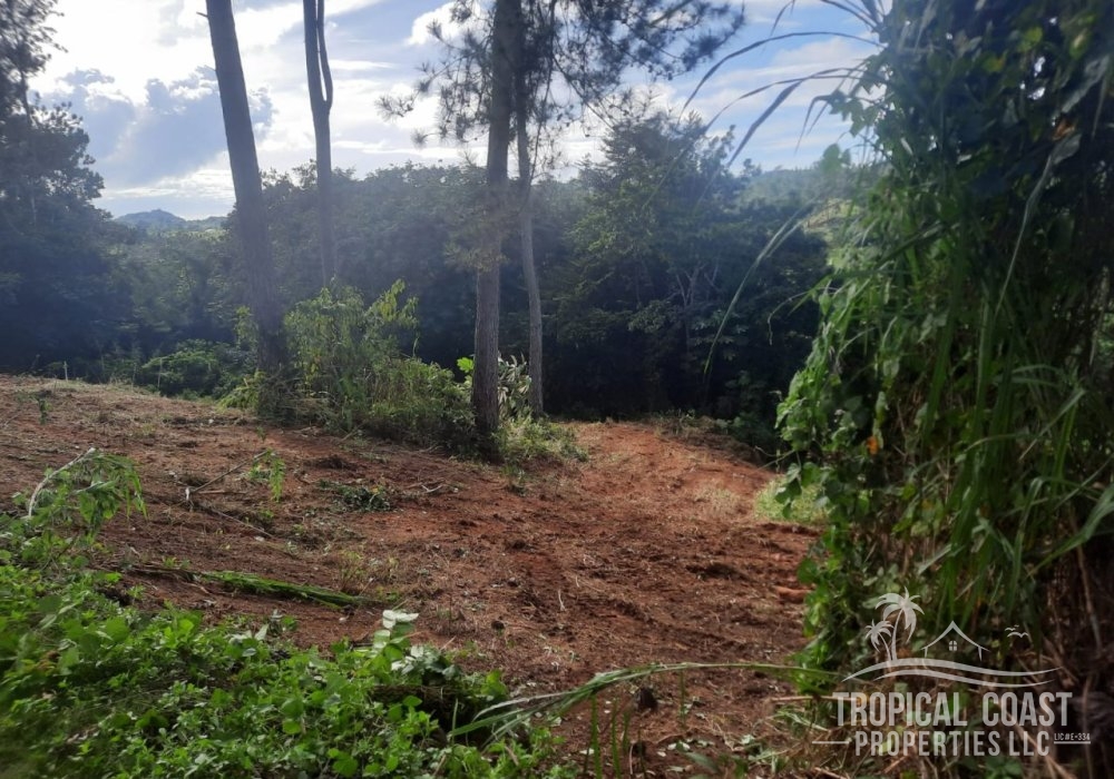 PARCELA A-2 (1) PARCELA A-2 (1)