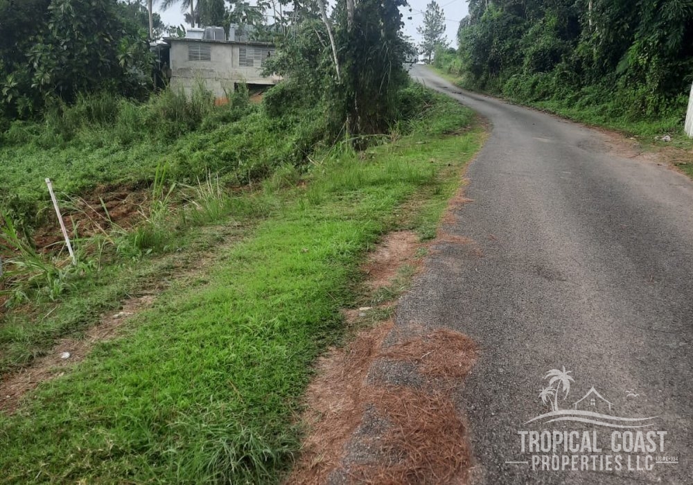 STREET VIEW (2) STREET VIEW (2)