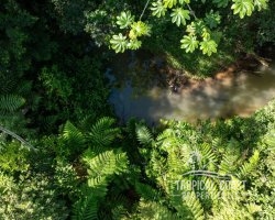 5680307_1704911256999