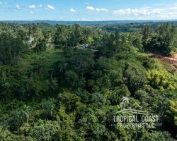 5680314_1704911275521