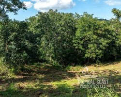 5680336_1704911339648