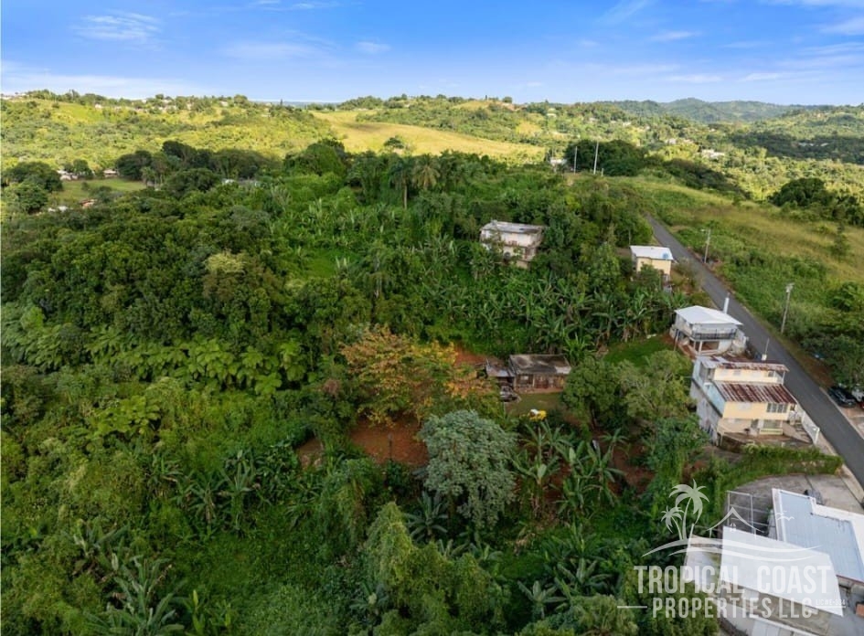 Your dream home starts here, a Mountain lot with an ocean view 