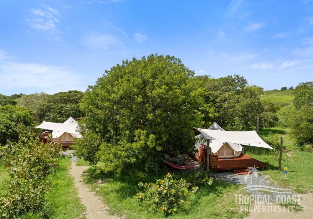 Where nature meets profit — your eco-investment starts here 