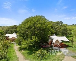 62786, Where nature meets profit — your eco-investment starts here 