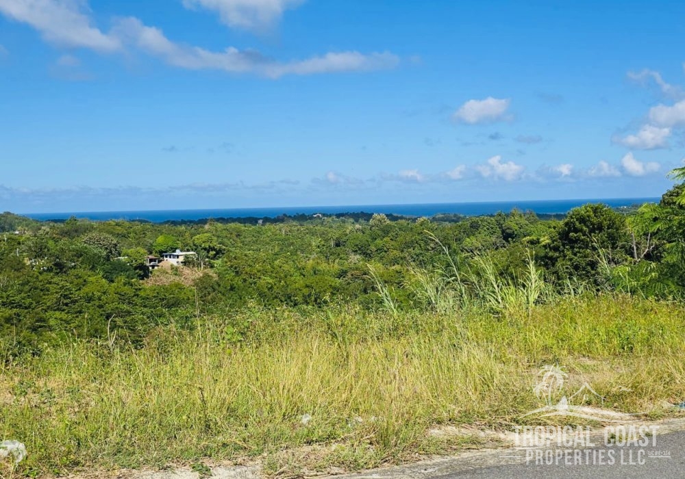 Great lot with mountain and ocean views 
