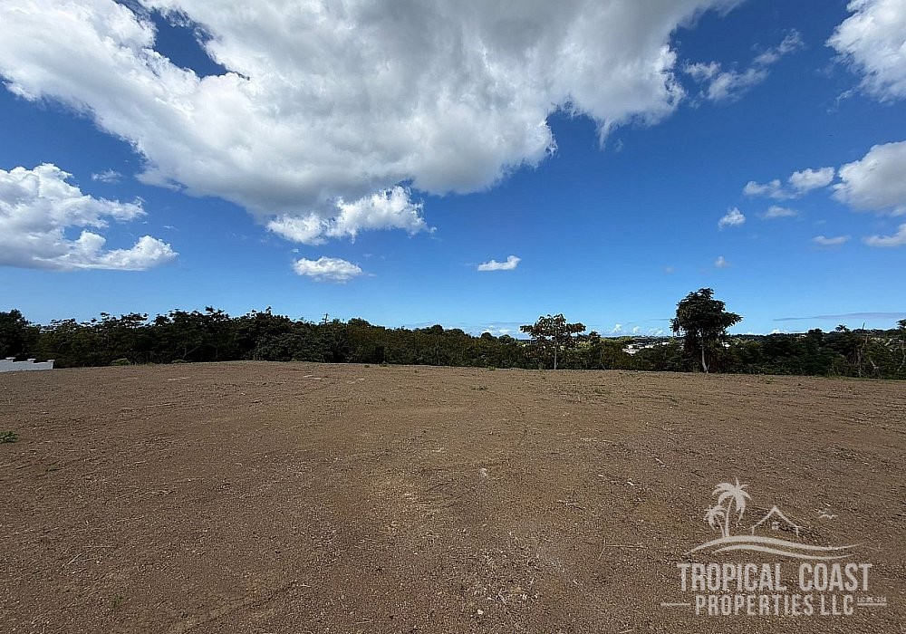 Prime Development Opportunity in Rincón