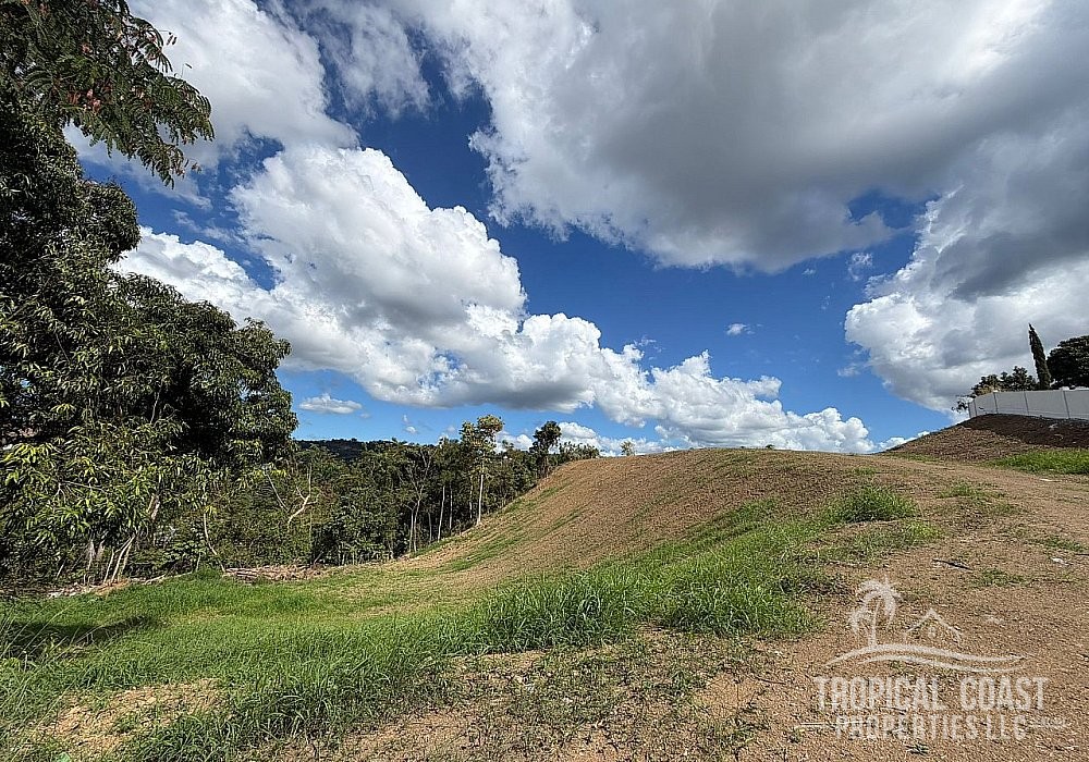 WhatsApp Image 2026-01-20 at 10.12.24 AM (2)