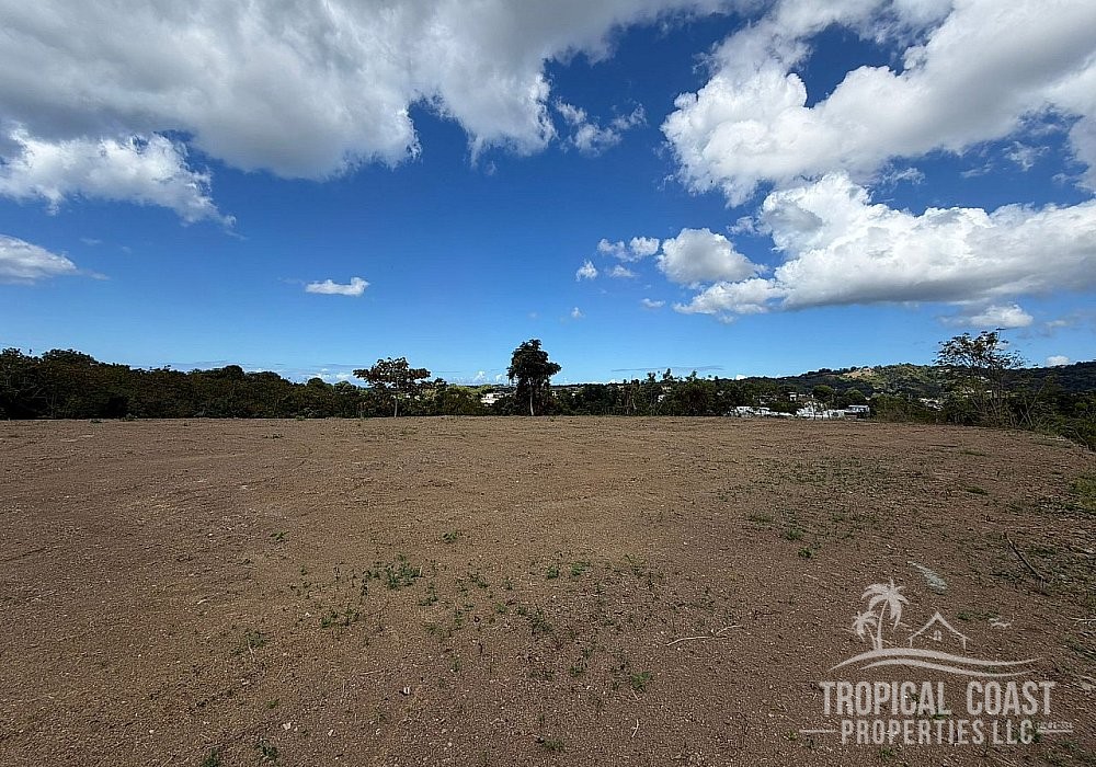 WhatsApp Image 2026-01-20 at 10.12.24 AM