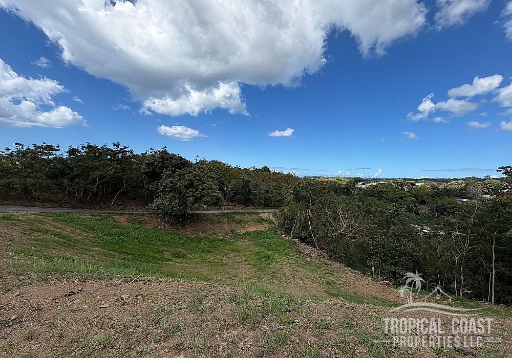 WhatsApp Image 2026-01-20 at 10.12.25 AM (6)