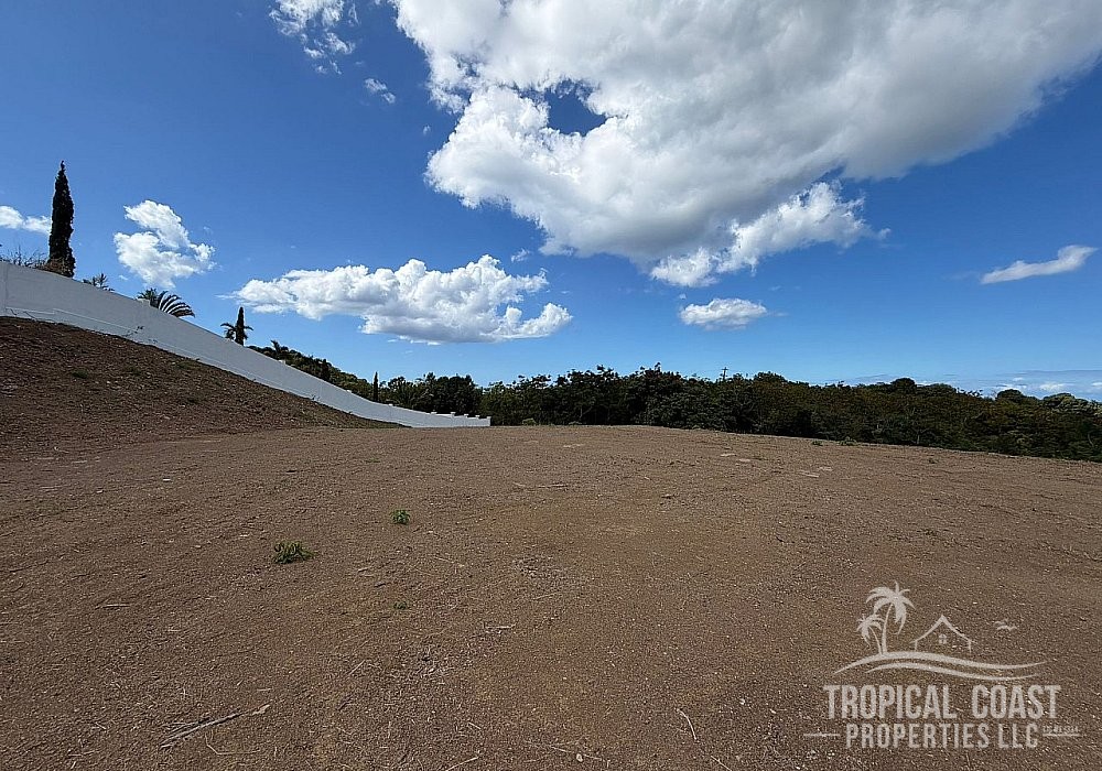 WhatsApp Image 2026-01-20 at 10.12.25 AM (7)