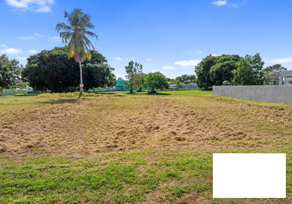 LAND FOR SALE – BO. GUAYANEY, MANATÍ 