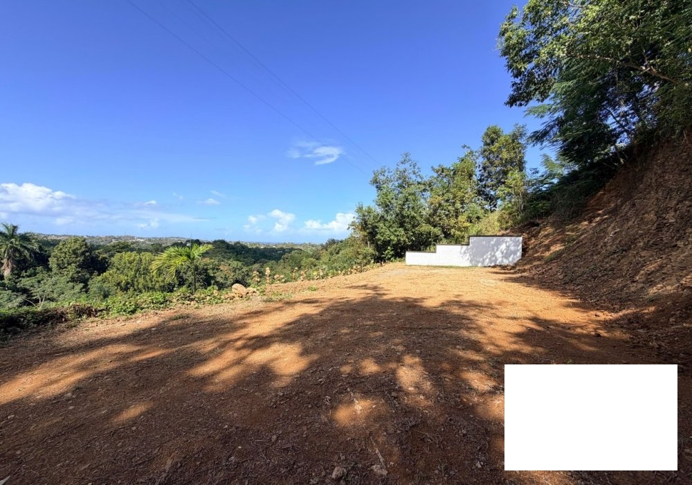 Ocean and Mountain views 