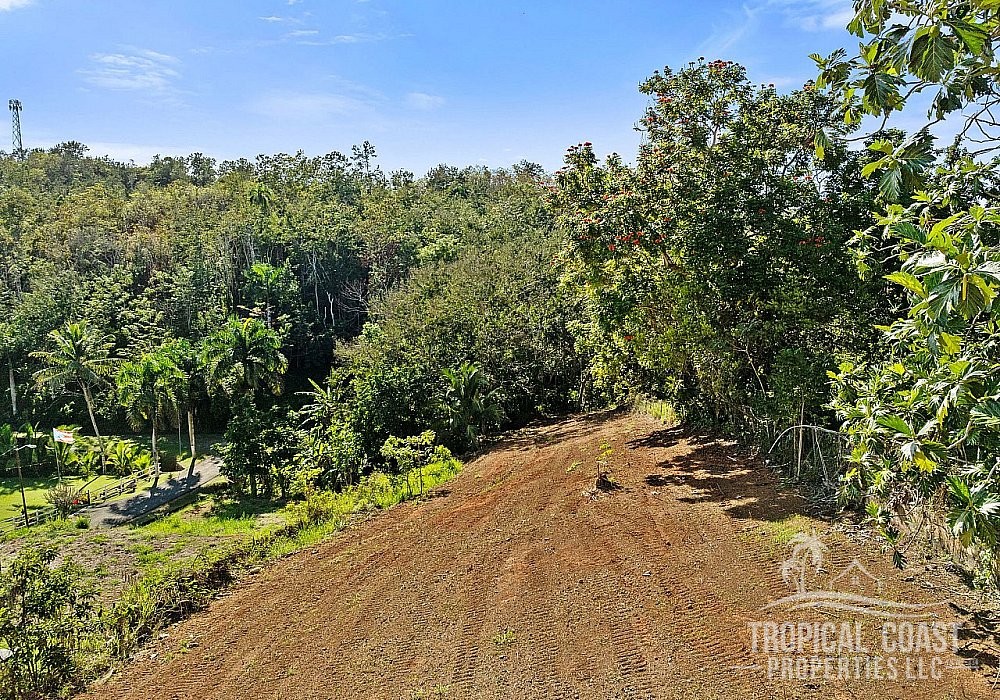 Land for Sale – Aguada, Guayabo Ward