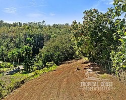 PR35357F, Land for Sale – Aguada, Guayabo Ward