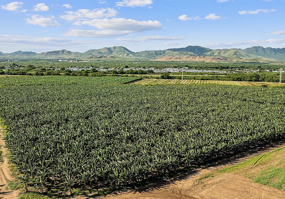 Agricultural Property - Excellent Investment and Development Opportunity