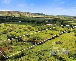 Nature, sea breeze, and peace
