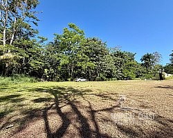 Foto 03