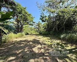 Foto 06