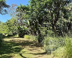 Foto 07