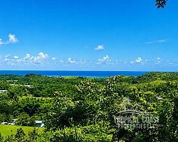 Ocean Views • Food Forest • Approx. 475' of Road Frontage • Minutes to Rincón & the Beach