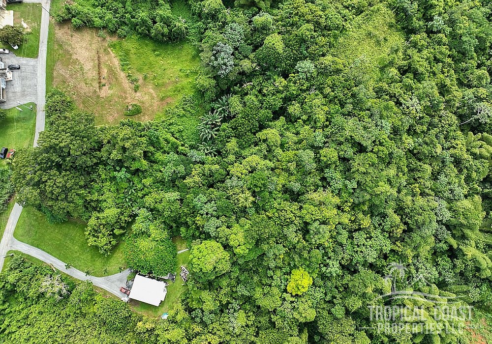  5 Acres with Endless Potential